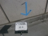 image6.jpeg
